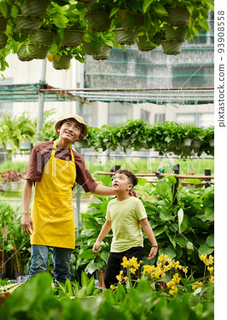 Proud flower nursery worker showing pots with hanging plants to his excited son 93908558