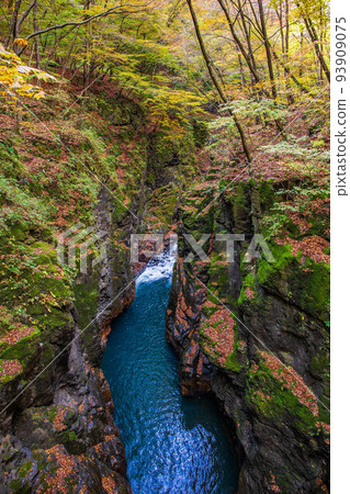 Kanto's Yabakei Azuma Valley (Azuma Gorge) with autumn leaves Haccho gloom Kanto's Yabakei Azuma Valley (Azuma Gorge) with autumn leaves Haccho gloom 93909075