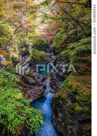 Kanto's Yabakei Azuma Valley (Azuma Gorge) with autumn leaves Haccho gloom Kanto's Yabakei Azuma Valley (Azuma Gorge) with autumn leaves Haccho gloom 93909493