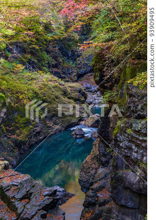 Kanto's Yabakei Azuma Valley (Azuma Gorge) with autumn leaves Haccho gloom 93909495