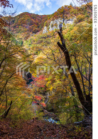 秋葉關東吾妻峽谷的矢馬溪峽谷(吾妻峽谷) 大寶來 秋葉關東吾妻峽谷的矢馬溪峽谷(吾妻峽谷) 大寶來 93909765