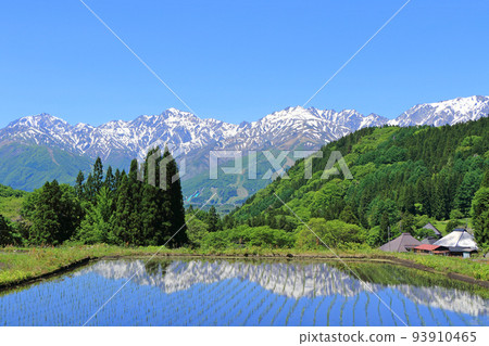 青鬼的信州白馬五月 青鬼的信州白馬五月 93910465