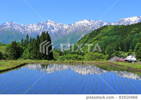 Shinshu Hakuba May of Ao Oni Shinshu Hakuba May of Ao Oni 93910466