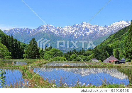 青鬼的信州白馬五月 93910468