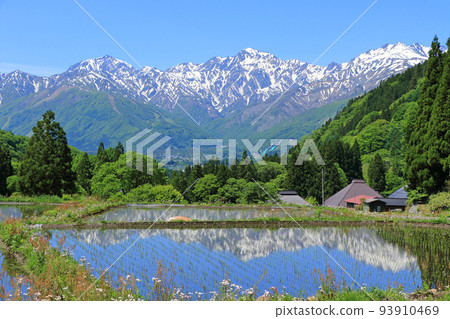 Shinshu Hakuba May of Ao Oni 93910469