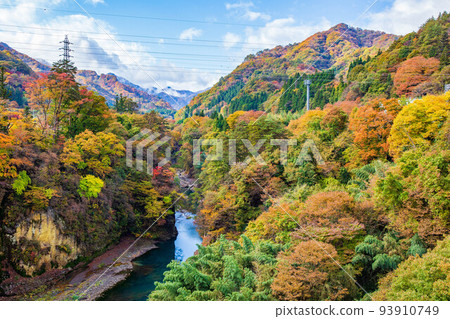 Kanto's Yabakei Azuma Gorge with autumn leaves (Azuma Gorge) Kanto's Yabakei Azuma Gorge with autumn leaves (Azuma Gorge) 93910749