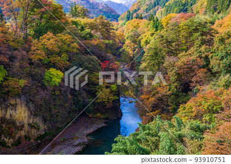秋葉的關東矢馬溪吾妻峽谷（吾妻峽谷） 93910751