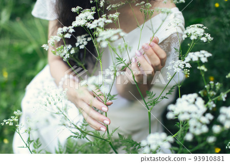 A woman in a white dress surrounded by nature and white flowers of Aegopodium podagraria. Front view. 93910881