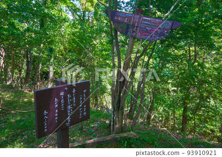 Toranoguchi branch sign on the way to Mt. Yagura from Manyo Park in Minamiashigara City, Kanagawa Prefecture Toranoguchi branch sign on the way to Mt. Yagura from Manyo Park in Minamiashigara City, Kanagawa Prefecture 93910921