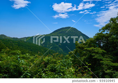 View of Mt. Yagura from the mountain trail from Manyo Park in Minamiashigara City, Kanagawa Prefecture to Mt. Yagura 93910945