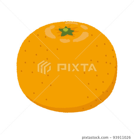 Illustration of mandarin orange 93911026