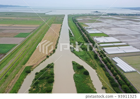 bird perspective 93911325