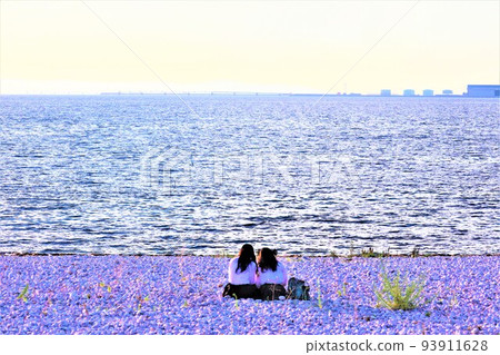 Sennan Marble Beach Sennan Marble Beach 93911628