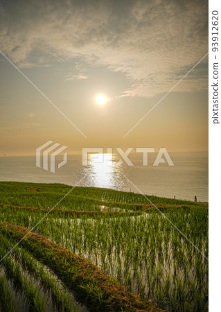 sunset, rice field, sea 93912620