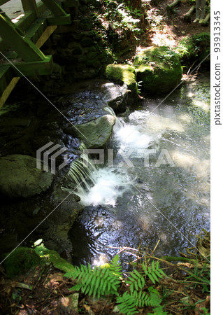 Yamabuki Water Source, one of Kumamoto Prefecture's Top 100 Famous Water Sources, a beautiful water source in a green virgin forest Yamabuki Water Source, one of Kumamoto Prefecture's Top 100 Famous Water Sources, a beautiful water source in a green virgin forest 93913345