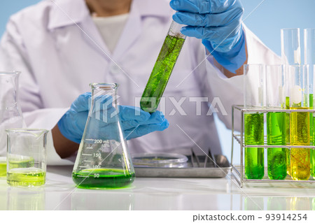 Scientists are researching algae energy for reliable biofuel source. 93914254