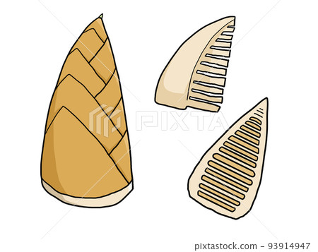 Illustration of bamboo shoots Illustration of bamboo shoots 93914947