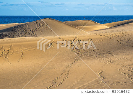 Maspalomas Sand Dunes on the south coast of the island of Gran Canaria, Canary Islands, Spain Maspalomas Sand Dunes on the south coast of the island of Gran Canaria, Canary Islands, Spain 93916482