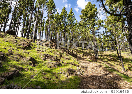 Gran Canaria hiking route Cruz de Tejeda to Artenara, view into Caldera de Tejeda, Canary Islands, Spain 93916486