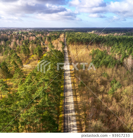Aerial view of a dead straight road through a forest area Aerial view of a dead straight road through a forest area 93917233