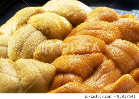 新鮮美味的海膽菜 新鮮美味的海膽菜 93917541