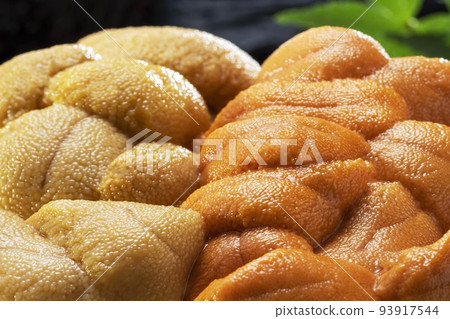 Fresh and delicious sea urchin dish 93917544