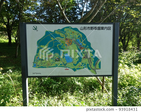野草園 山形市 野草園 山形市 93918431