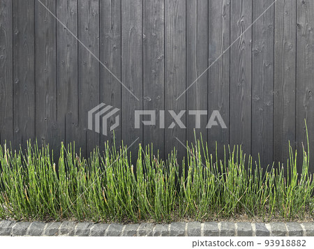 Jet black wood board and green wallpaper material Jet black wood board and green wallpaper material 93918882