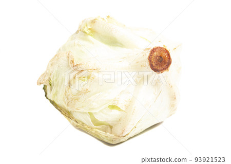 iceberg lettuce cabbage isolated on white background iceberg lettuce cabbage isolated on white background 93921523