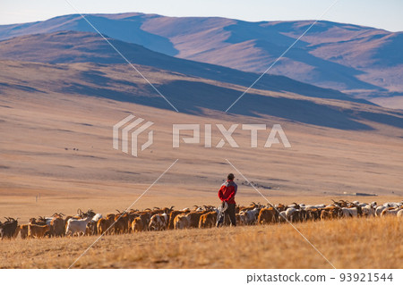 Mongolian early winter grasslands and shepherds 93921544
