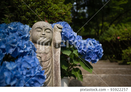 Jizo and hydrangea Jizo and hydrangea 93922257