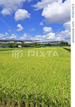 橫濱青葉交流 93923425