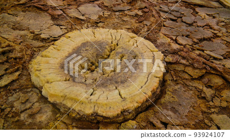 Salt structure close-up Dallol volcanic crater Danakil , Afar, Ethiopia 93924107