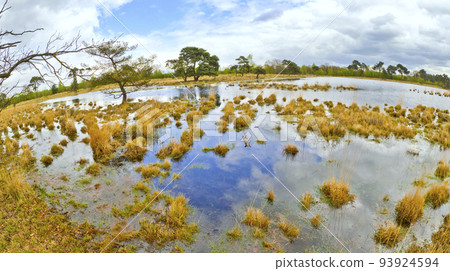 Strijbeekse Heide Nature Area, Netherlands 93924594