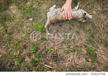 Young guy petting a cute cat on the street 93924746