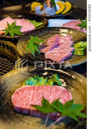 宮崎駿特產高千穗牛，首相獎獲得者，Loin Focus 93924984