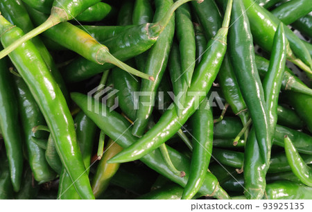organic fresh green Chili Peppers at fresh opened market, nature ingredient backgrounds organic fresh green Chili Peppers at fresh opened market, nature ingredient backgrounds 93925135