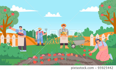 People working at garden or farm, collect harvest 93925442
