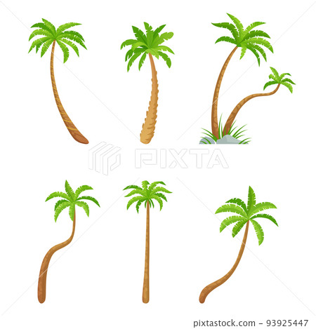 Palm green trees collection, exotic plant set Palm green trees collection, exotic plant set 93925447