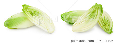 Chicory salad isolated on white background with full depth of field. Chicory salad isolated on white background with full depth of field. 93927496