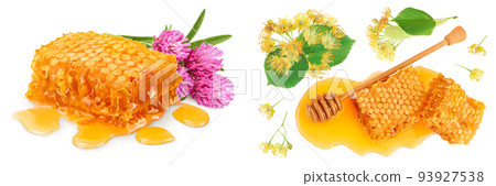 Honeycombs and honey puddle with clover or trefoil flower isolated on white background with full depth of field 93927538