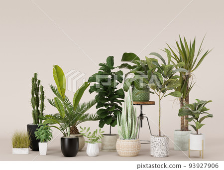 Home plants in pots on beige background with copy space for your advertisement text or logo. Plants store, green interior details. Potted plants sale. 3d rendering. 93927906