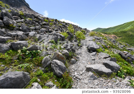 Scenery of Nasu mountain trail in Tochigi prefecture Scenery of Nasu mountain trail in Tochigi prefecture 93928096