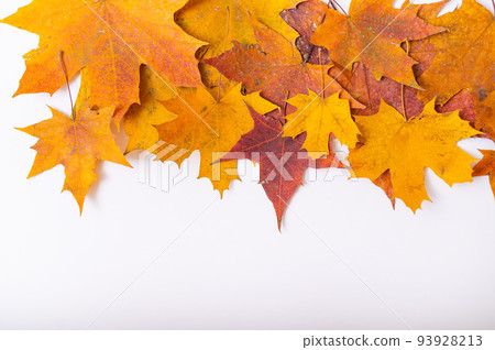 Fallen maple leaves on a white background with blank space. Autumn flat lay Fallen maple leaves on a white background with blank space. Autumn flat lay 93928213