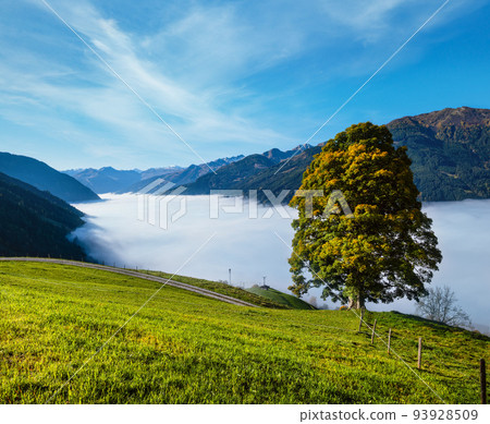 Misty autumn morning mountain and big lonely tree view from hiking path near Dorfgastein, Land Salzburg, Austria. Misty autumn morning mountain and big lonely tree view from hiking path near Dorfgastein, Land Salzburg, Austria. 93928509