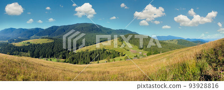 Mountain village. Summer country landscape with fir forest on slope (Carpathians, Ukraine). 93928816