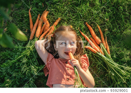 A cute girl with ponytails looks thoughtfully to the side, biting a juicy fresh carrot from the garden. The child is lying on the grass, top view A cute girl with ponytails looks thoughtfully to the side, biting a juicy fresh carrot from the garden. The child is lying on the grass, top view 93929001