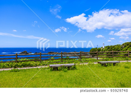 Shionomisaki, Kushimoto Town, Wakayama Prefecture Shionomisaki, Kushimoto Town, Wakayama Prefecture 93929748