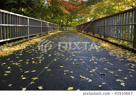 茨城縣水戶市常盤神社 93930667