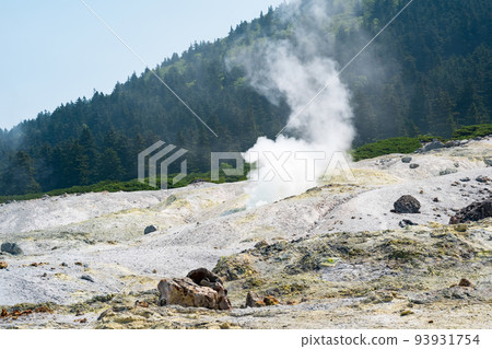 solfatara field on the slope of Mendeleev volcano, Kunashir island solfatara field on the slope of Mendeleev volcano, Kunashir island 93931754